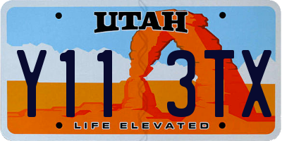 UT license plate Y113TX