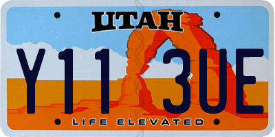 UT license plate Y113UE