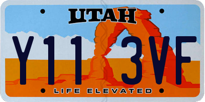 UT license plate Y113VF