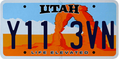 UT license plate Y113VN