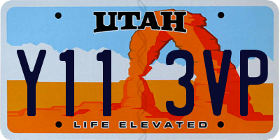 UT license plate Y113VP