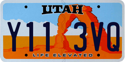 UT license plate Y113VQ