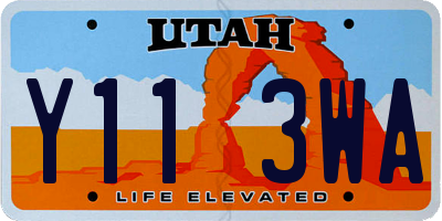 UT license plate Y113WA