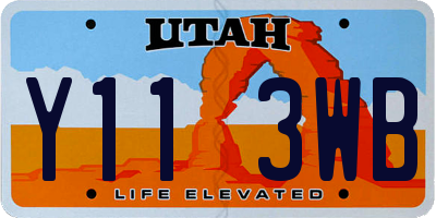UT license plate Y113WB