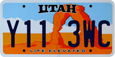 UT license plate Y113WC