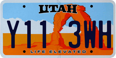 UT license plate Y113WH