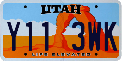 UT license plate Y113WK