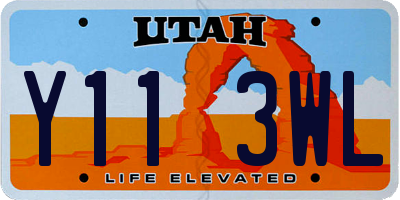 UT license plate Y113WL