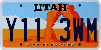 UT license plate Y113WM
