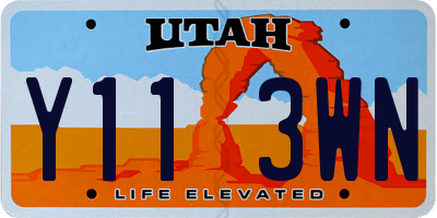 UT license plate Y113WN