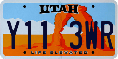 UT license plate Y113WR