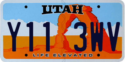 UT license plate Y113WV