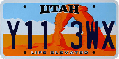 UT license plate Y113WX