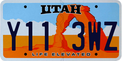 UT license plate Y113WZ
