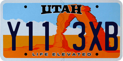 UT license plate Y113XB