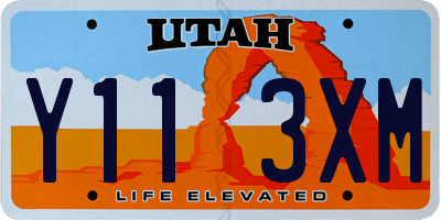 UT license plate Y113XM