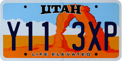 UT license plate Y113XP
