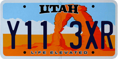UT license plate Y113XR