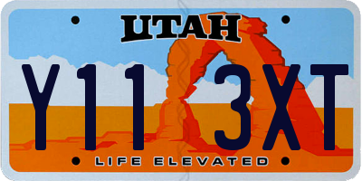 UT license plate Y113XT