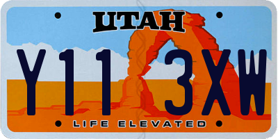 UT license plate Y113XW