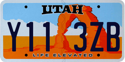 UT license plate Y113ZB