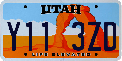 UT license plate Y113ZD