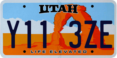 UT license plate Y113ZE