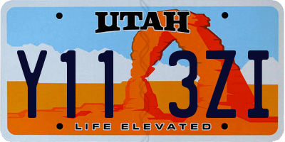 UT license plate Y113ZI