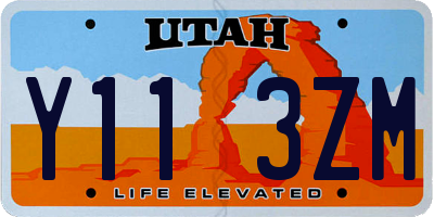 UT license plate Y113ZM