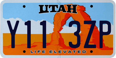 UT license plate Y113ZP