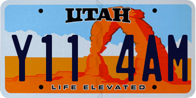 UT license plate Y114AM