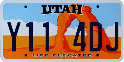 UT license plate Y114DJ