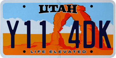 UT license plate Y114DK