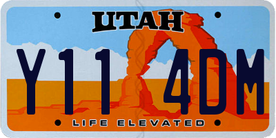 UT license plate Y114DM