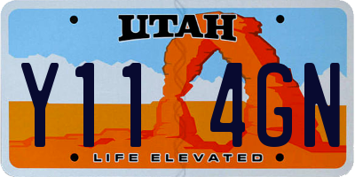 UT license plate Y114GN
