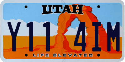 UT license plate Y114IM