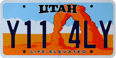 UT license plate Y114LY