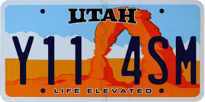 UT license plate Y114SM