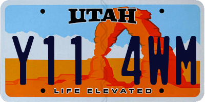UT license plate Y114WM