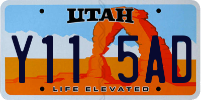 UT license plate Y115AD