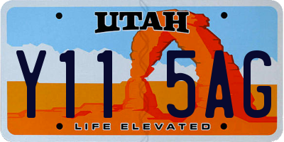 UT license plate Y115AG