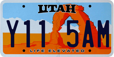UT license plate Y115AM