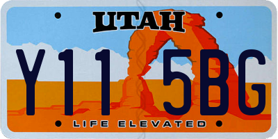 UT license plate Y115BG