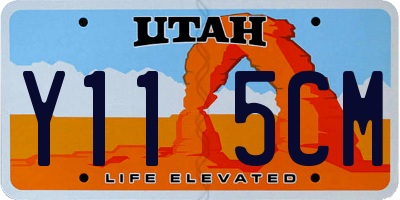 UT license plate Y115CM
