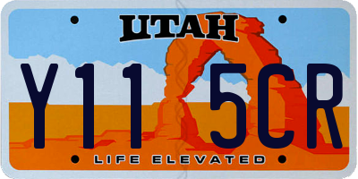 UT license plate Y115CR