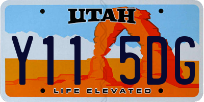 UT license plate Y115DG