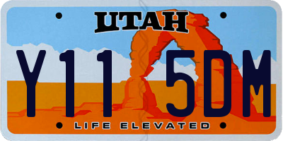 UT license plate Y115DM