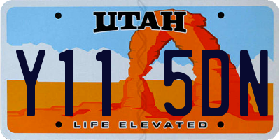 UT license plate Y115DN