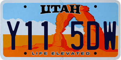 UT license plate Y115DW