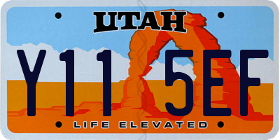 UT license plate Y115EF